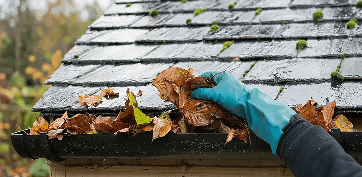 Gutter cleaning technician clearing wet leaves from roof gutters in San Diego, CA